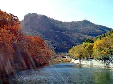 新澳天天开奖资料大全旅游团，彩条机